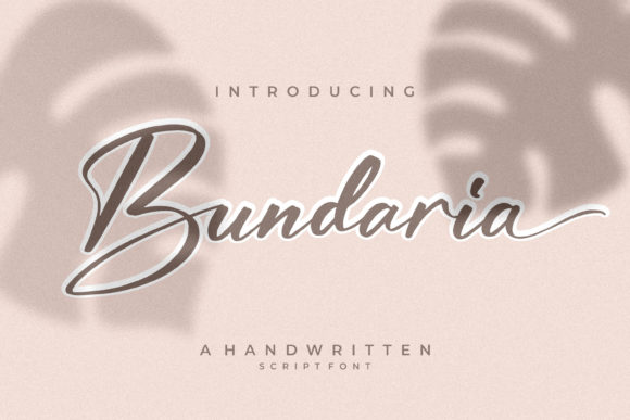 Bundaria: A Stylish Font for Business