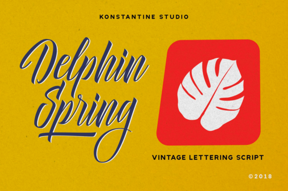 Delphin Spring: A Elegant Font for Business Branding