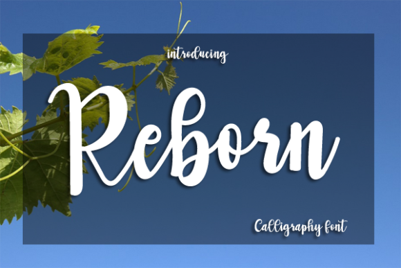 Reborn: A Script Font That Speaks Volumes