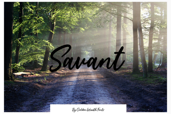 Savant: A Stylish Script Font