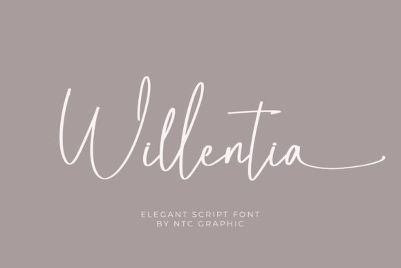 Willentia: A Graceful Script Font